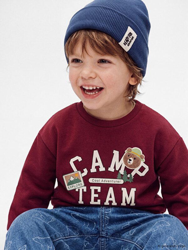 LCW baby Printed Baby Boys' Sweatshirt