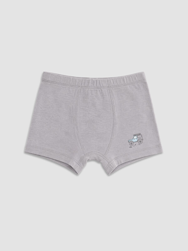 LCW Kids Baskılı Erkek Çocuk Boxer