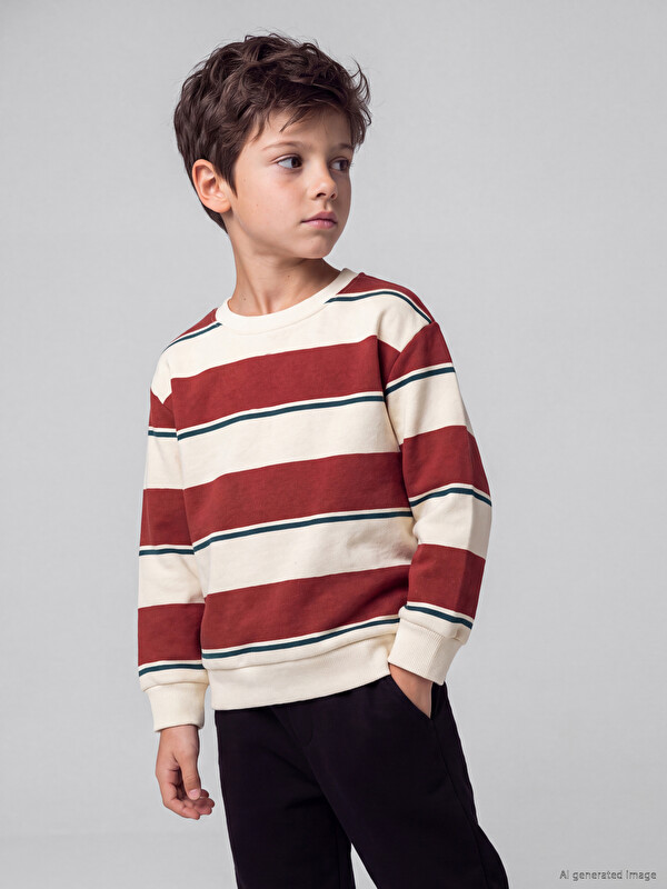 LCW Kids Bisiklet Yaka Çizgili Erkek Çocuk Sweatshirt
