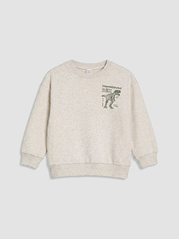 LCW Kids Baskılı Erkek Çocuk Sweatshirt