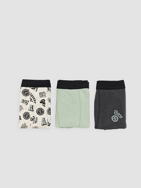 LCW Kids Boy Ecru Boxer Briefs
