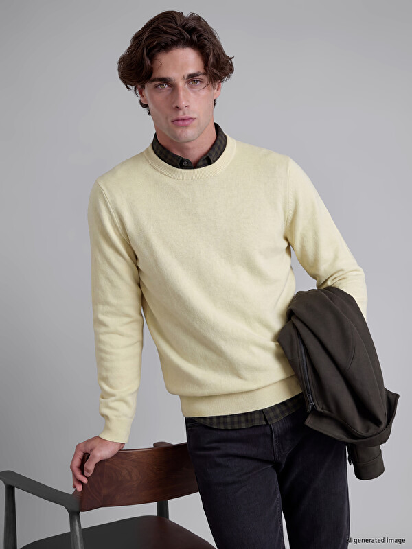 LCW Vision Regular Fit Erkek Triko Kazak