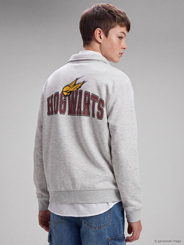 LCW Kids Harry Potter Printed Boys' Sweatshirt