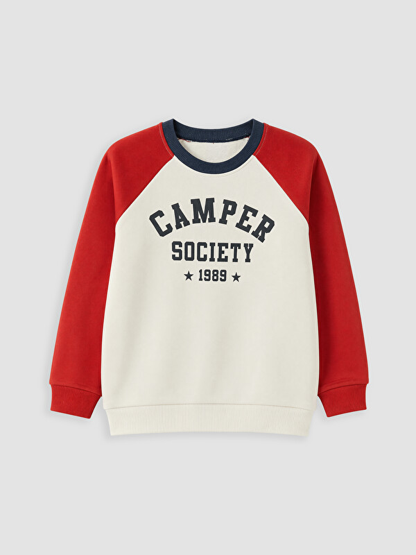 LCW Kids Bisiklet Yaka Renk Bloğu Erkek Çocuk Kalın Sweatshirt