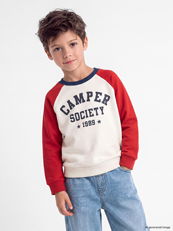 LCW Kids Bisiklet Yaka Renk Bloğu Erkek Çocuk Kalın Sweatshirt