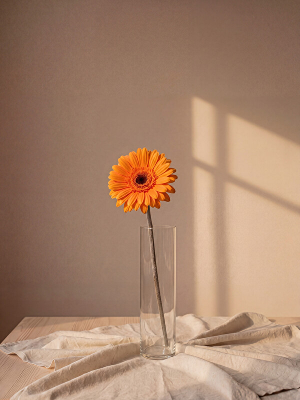 LCW HOME Mix Umjetni cvijet