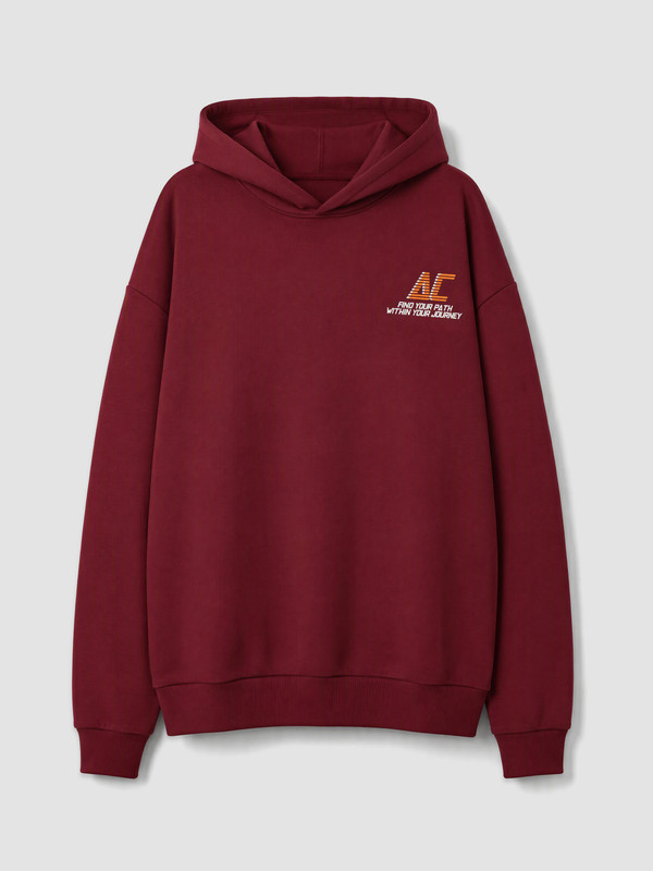 LCW Kids Baskılı Erkek Çocuk Sweatshirt