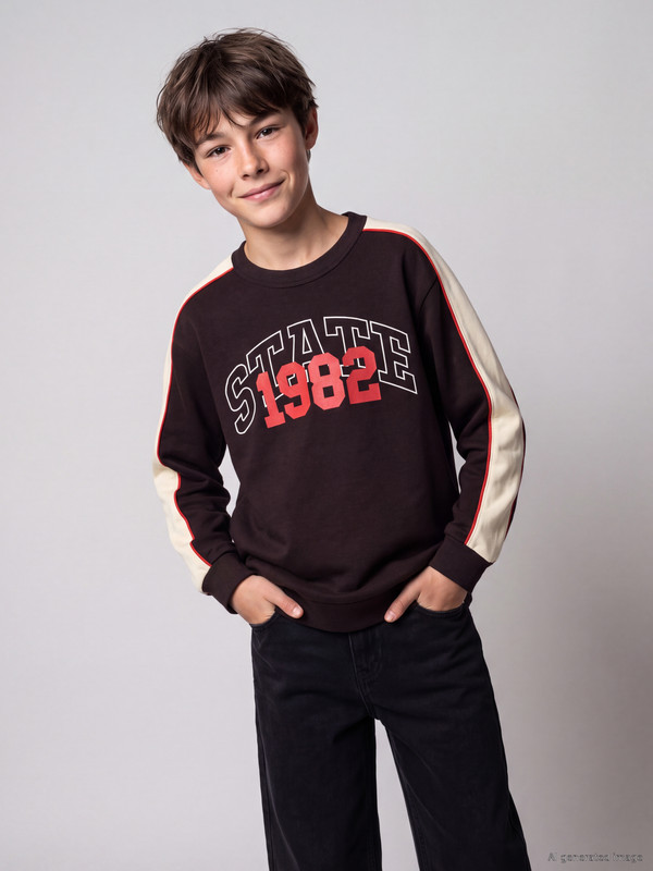 LCW Kids Printed Boys' Sweatshirt