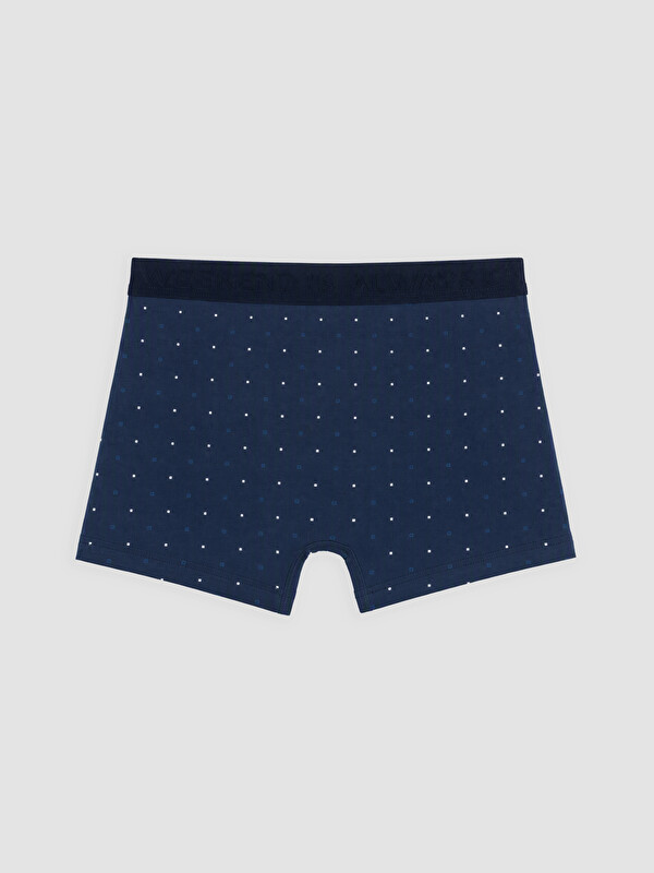 LC WAIKIKI Man Navy Boxer Briefs