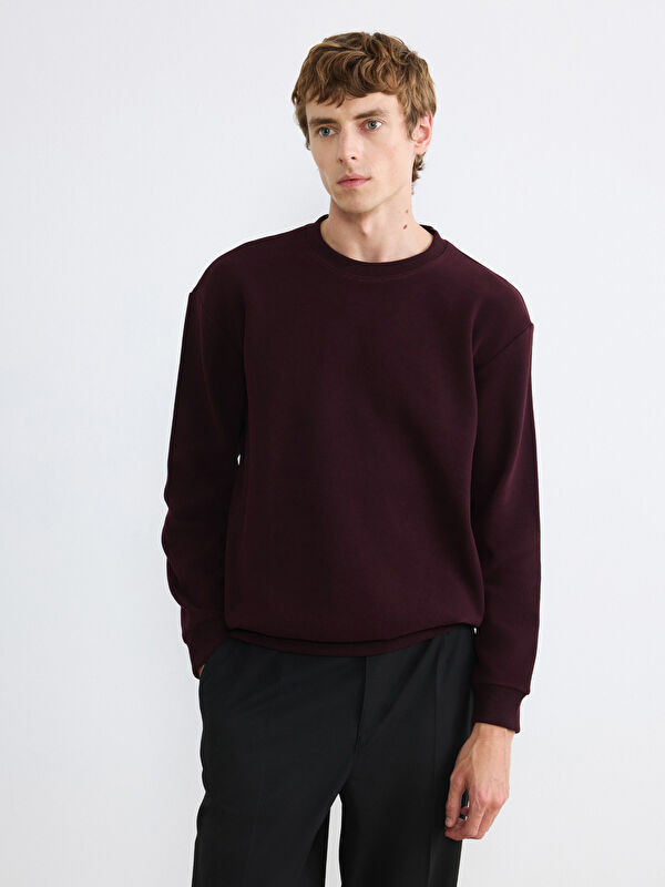 LCW Vision Bisiklet Yaka Kalın Kumaş Erkek Sweatshirt