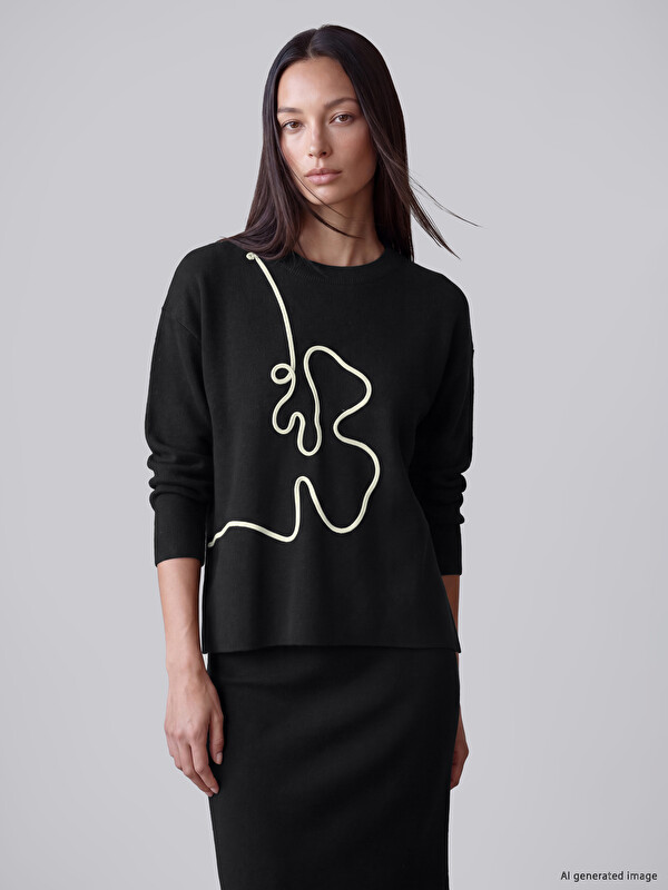 LCW EVERYDAY Embroidered Women's Knitwear Sweater