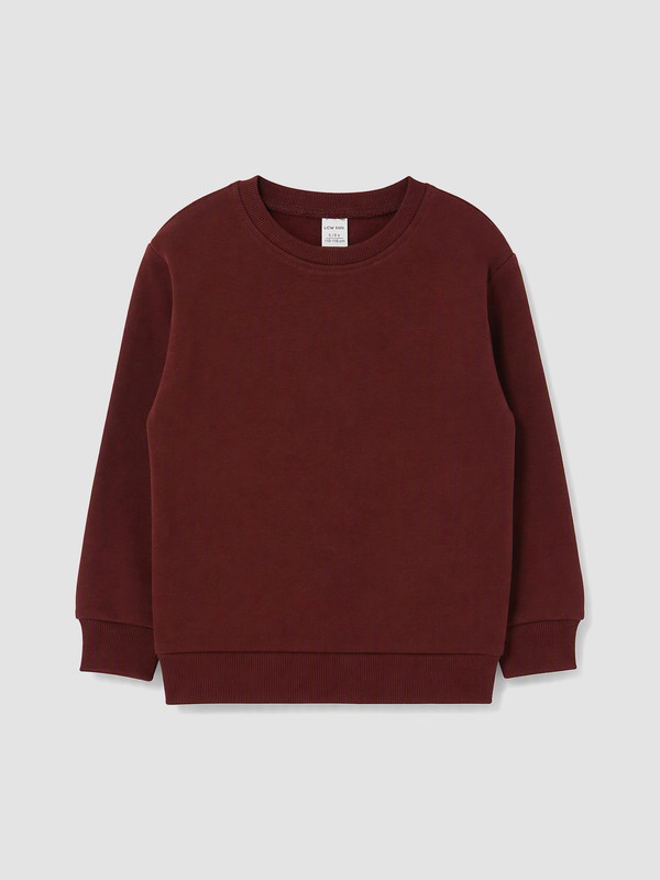 LC WAIKIKI Erkek Çocuk Kalın Sweatshirt