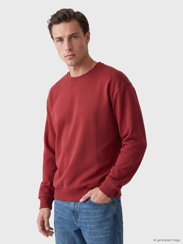 LC WAIKIKI Bisiklet Yaka Erkek Sweatshirt