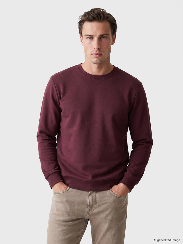 LC WAIKIKI Bisiklet Yaka Erkek Sweatshirt