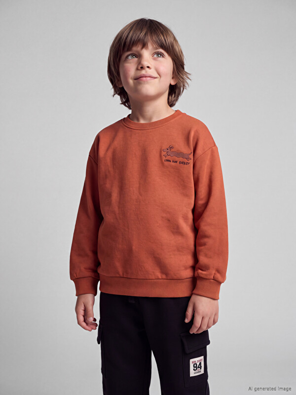 LCW Kids Nakışlı Erkek Çocuk Kalın Sweatshirt
