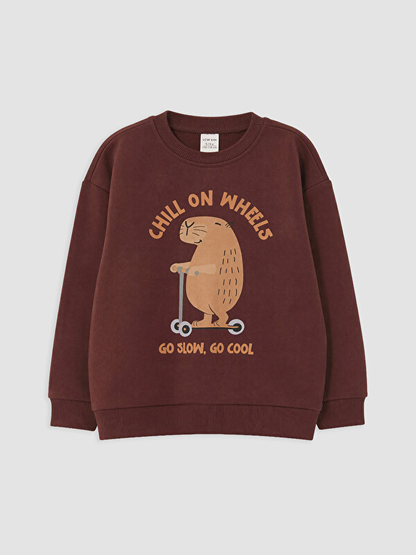 LCW Kids Sweat-shirt Rouge Bordeaux Garçon