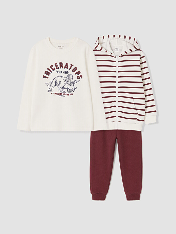 LCW Kids Djalë Vishnje Set
