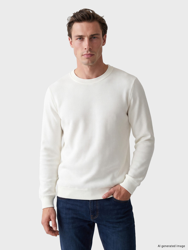 LCWAIKIKI Classic Crew Neck Men's Sweatshirt