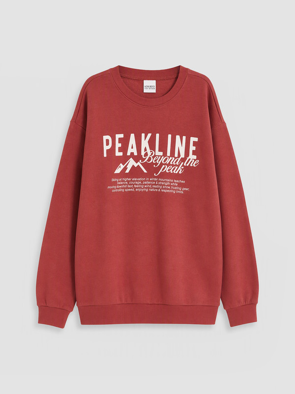 LCW Kids Printed Boys' Thick Sweatshirt
