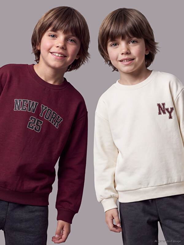 LCW Kids Printed Boys' Sweatshirt 2 Pack