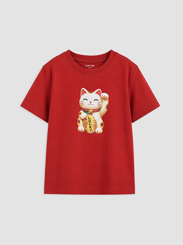 LCW Kids Baskılı Erkek Çocuk Tişört