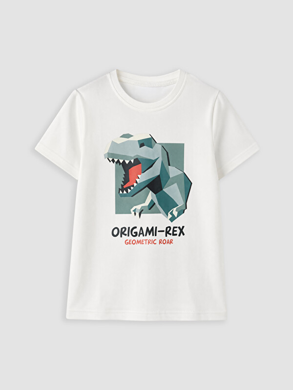 LCW Kids Bisiklet Yaka Baskılı Erkek Çocuk Tişört
