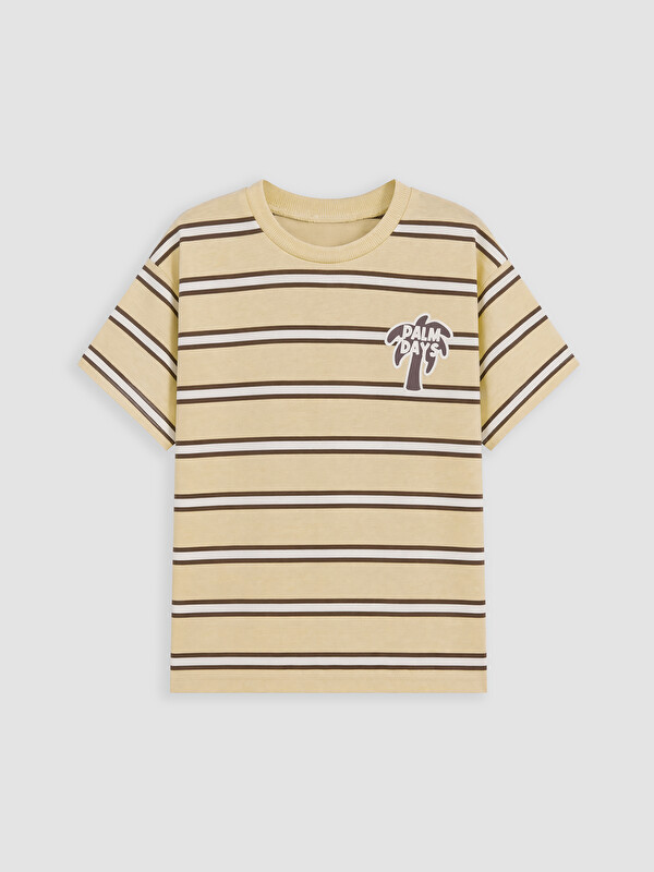 LCW Kids Erkek Çocuk Penye Tişört