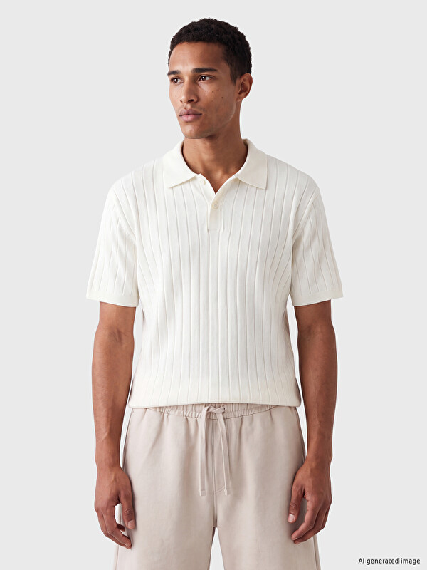 LCW Vision Pull en maille à col polo côtelé pour homme