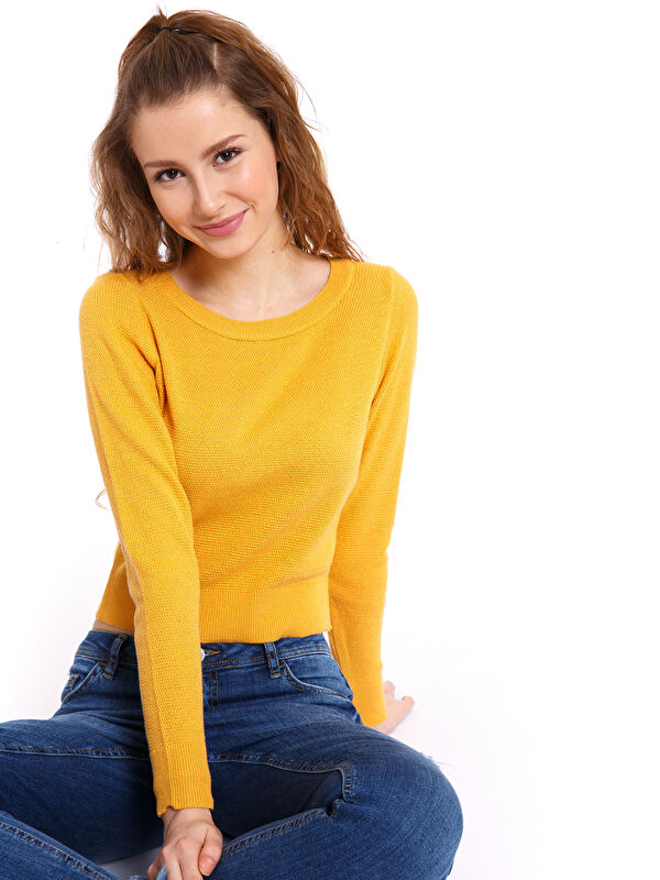 LCW Vision Crew Neck Regular Long Sleeve Women's Tricot Jumper