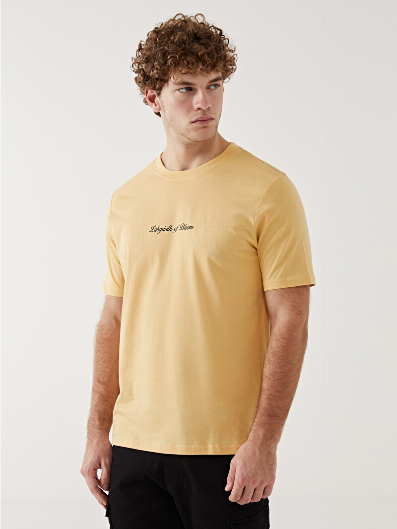 XSIDE Crew Neck Jersey Men's T-Shirt - S55902Z8-Y0D - LC Waikiki
