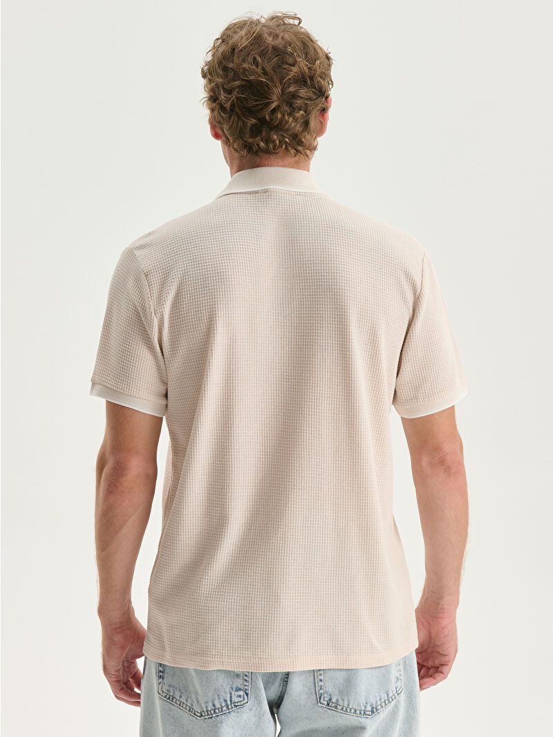 SSZ poloシャツ Arvor Maree アルボーマレー セーラー ポロシャツ ボーダー