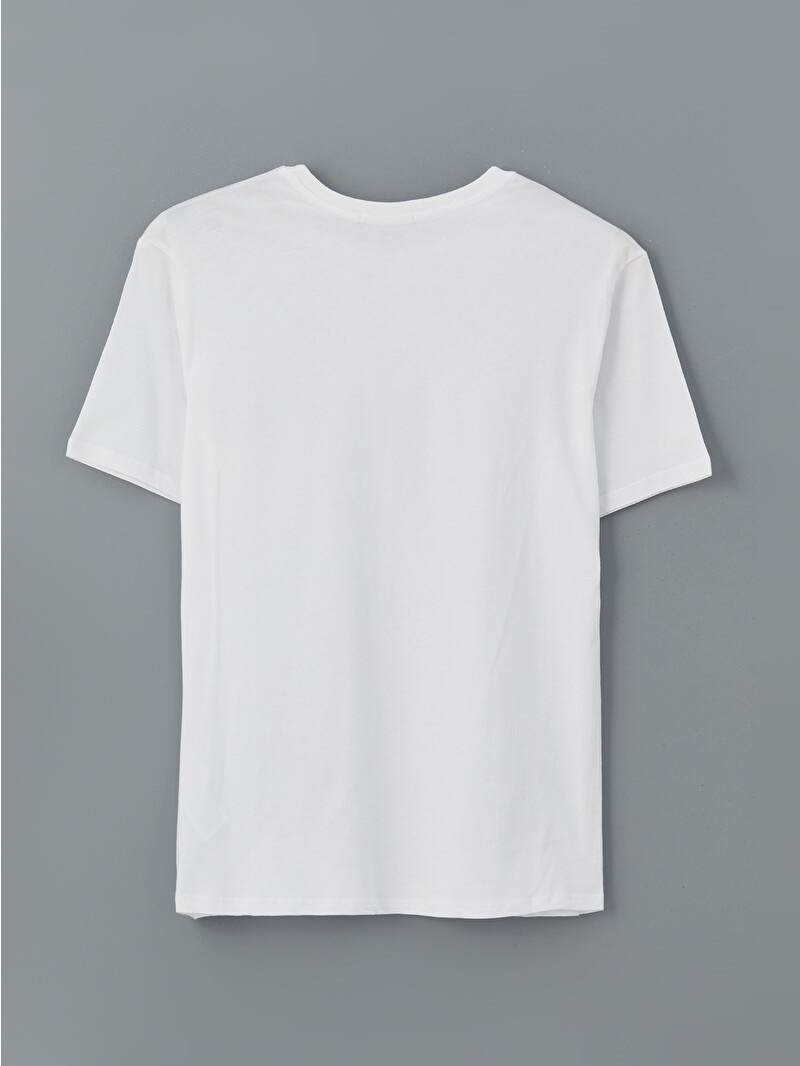 LCWAIKIKI Classic Crew Neck Printed Jersey Men's T-Shirt