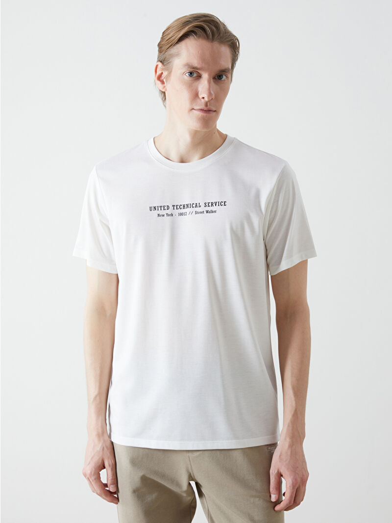 Alternate Text