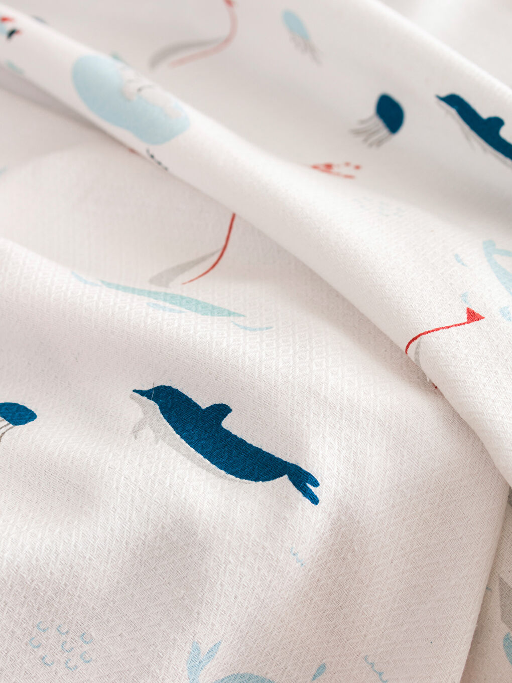 Shark Patterned Cotton Baby Boy Pique Set -S4J241Z1-F9C