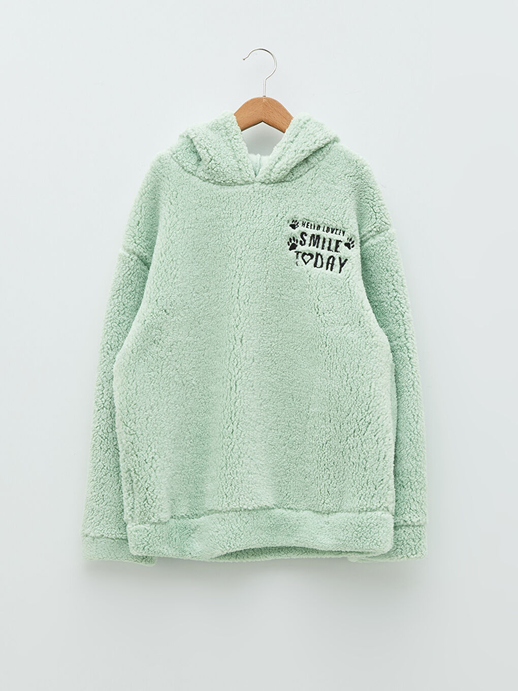 Hollister teddy clearance hoodie