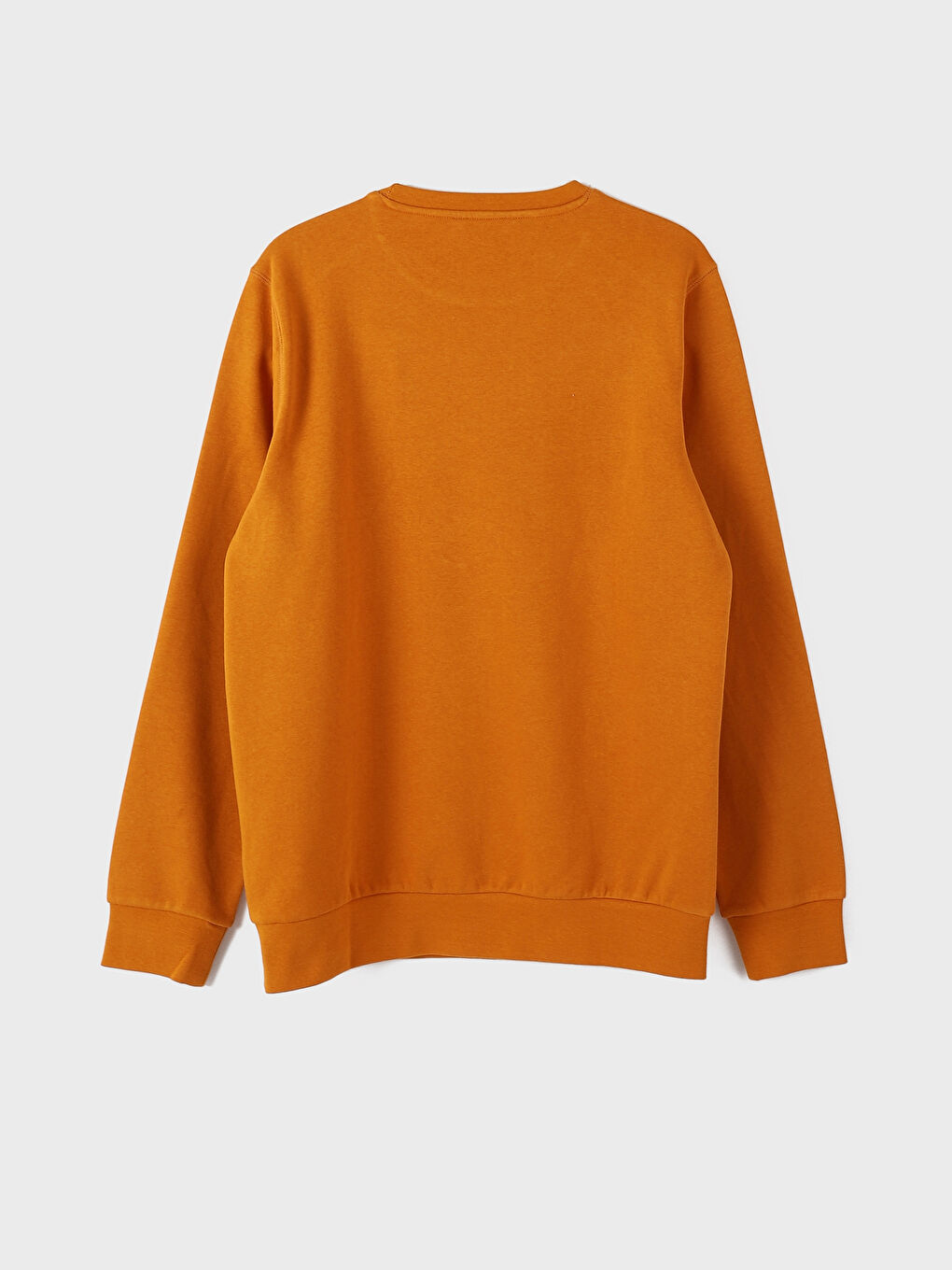 Crew Neck Long Sleeve Men s Thick Sweatshirt W21907Z8 LY3 W21907Z8 LY3 LC Waikiki
