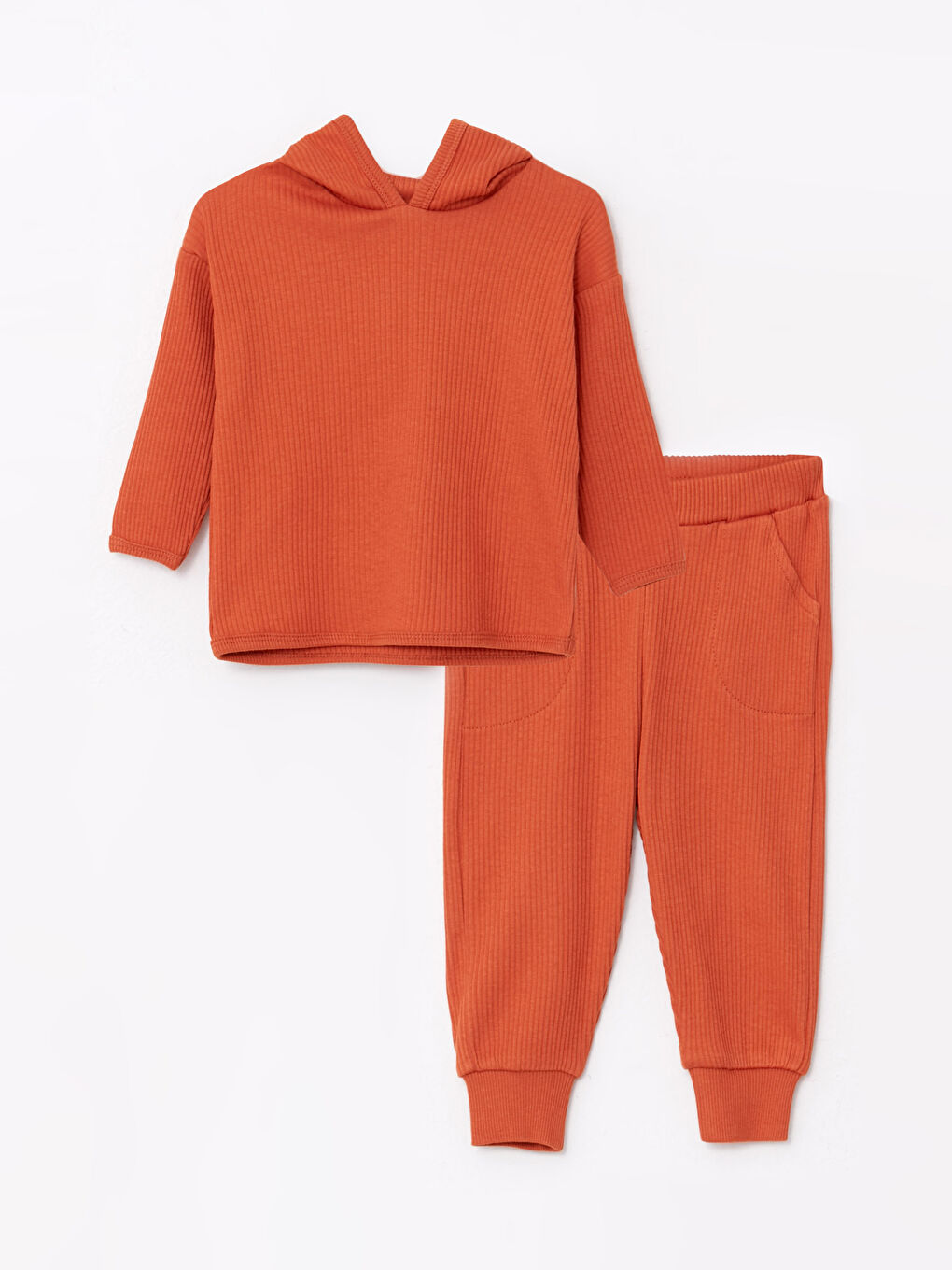 Hooded Long Sleeve Basic Baby Boy Sweatshirt and Trousers 2Pack Set