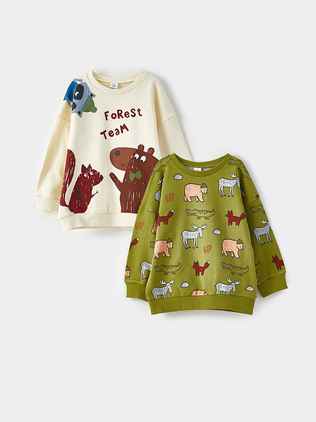 Crew Neck Long Sleeve Printed Baby Boy Sweatshirt 2Pack W2AF30Z1FPT