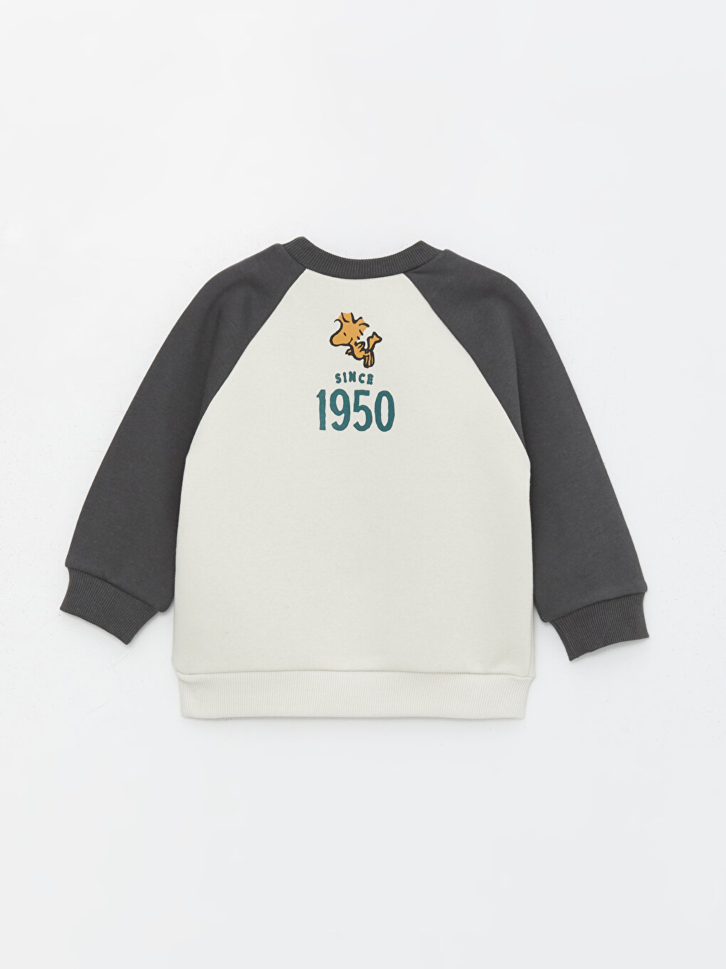 Crew Neck Long Sleeve Snoopy Printed Baby Boy Sweatshirt -W3DD96Z1-FYS -  W3DD96Z1-FYS - LC Waikiki