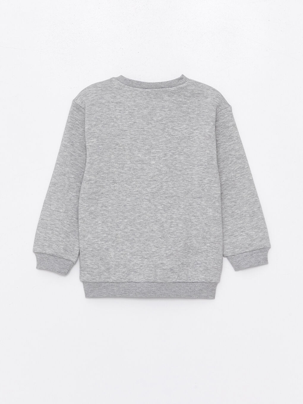 Printed Long Sleeve Baby Boy Sweatshirt 2Pack W3H125Z1D5P W3H125Z1