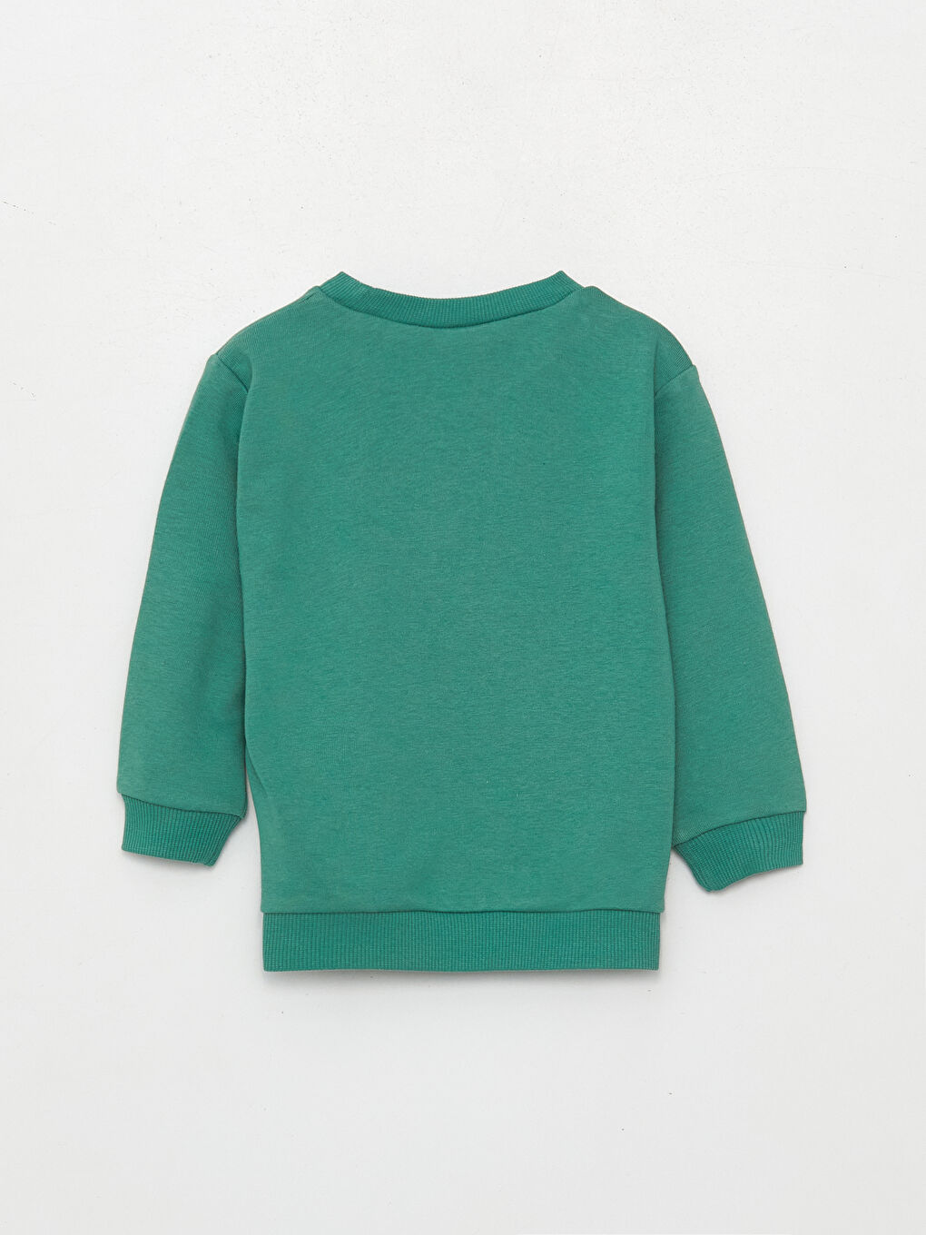 Crew Neck Long Sleeve Printed Baby Boy Sweatshirt W3HF31Z1H2K