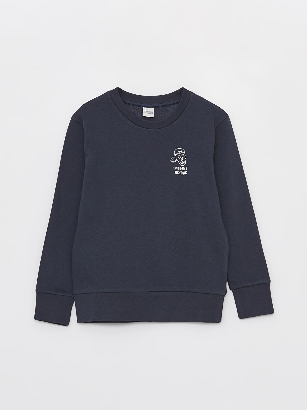 Crew Neck Printed Long Sleeve Boy Sweatshirt -W3J123Z4-HGJ