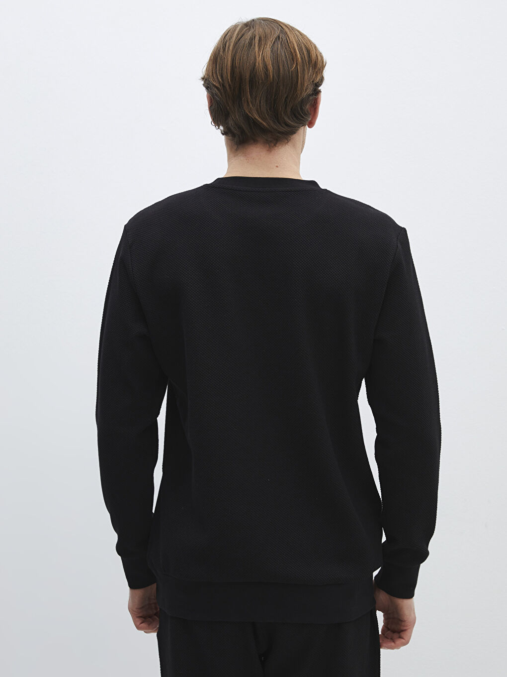 Crew Neck Long Sleeve Men's Sweatshirt -S41229Z8-CVL Crew Neck Long Sleeve Men's Sweatshirt -S41229Z8-CVL