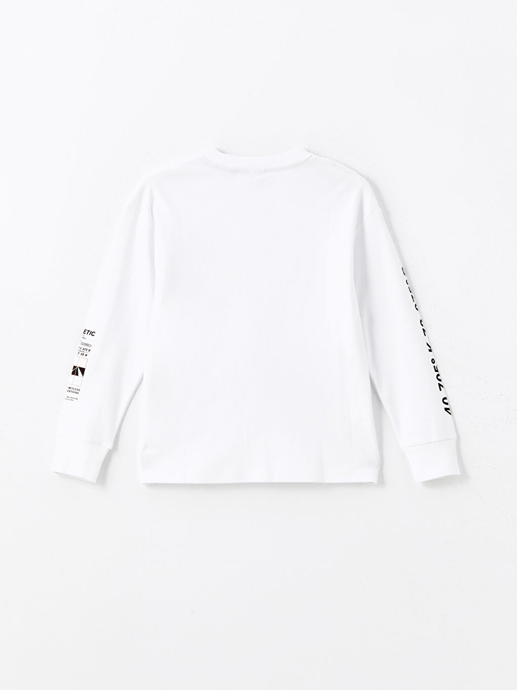 LC WAIKIKI Crew Neck Long Sleeve Printed Boys' T-Shirt