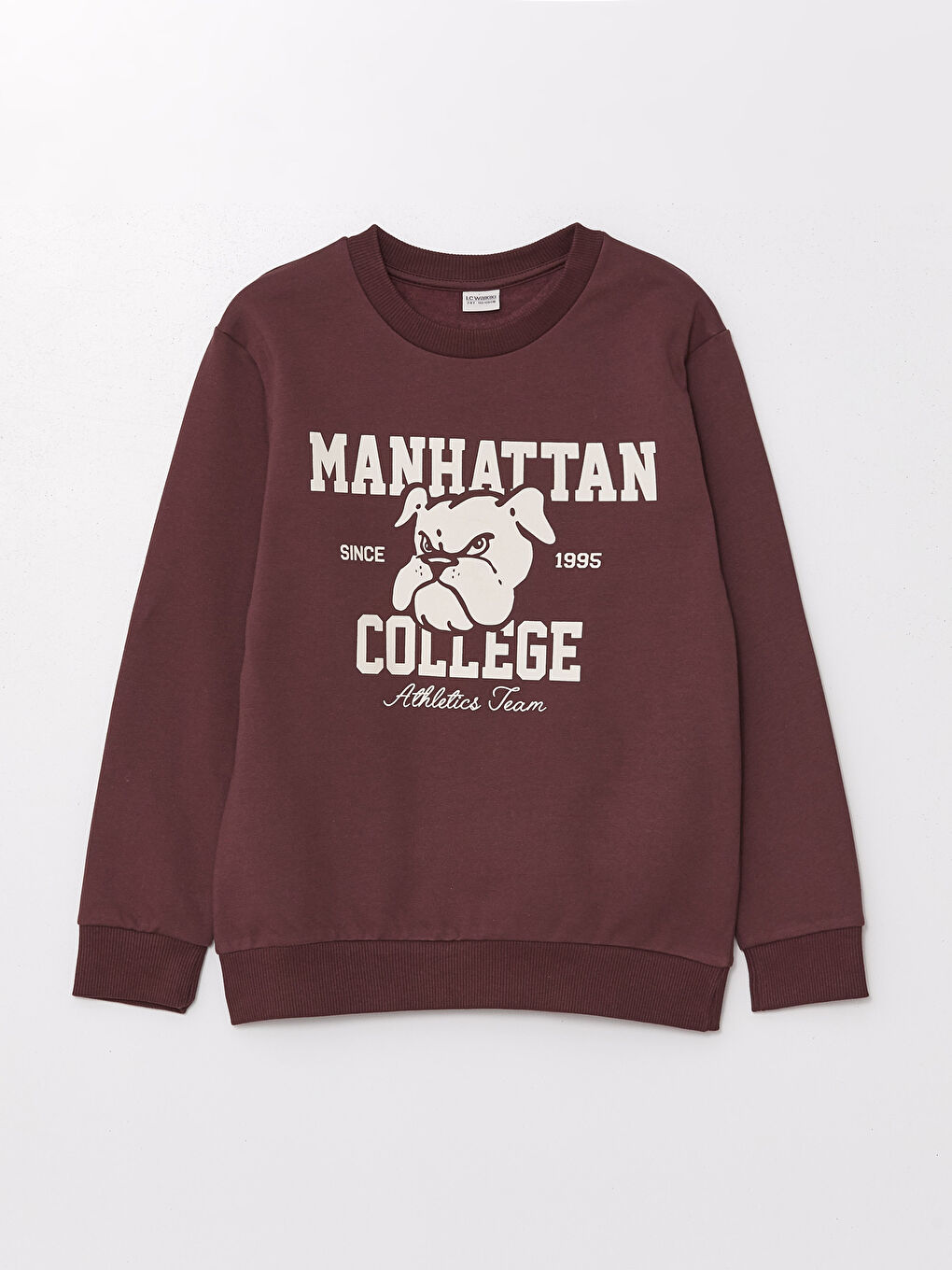 LC WAIKIKI Crew Neck Printed Long Sleeve Boys' Sweatshirt