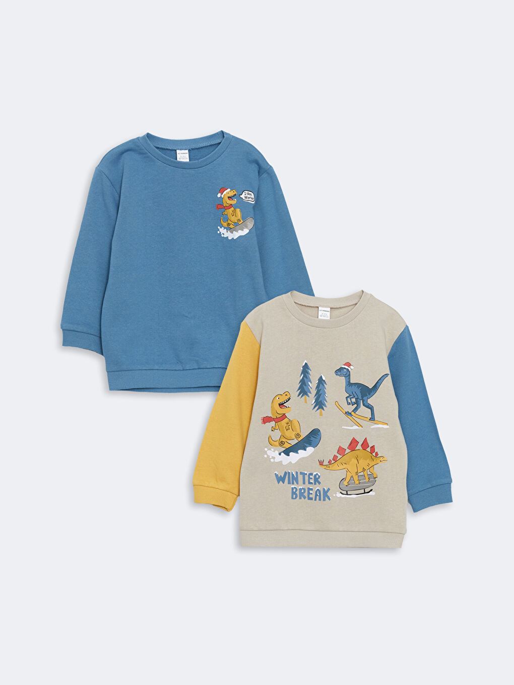 Crew Neck Printed Thick Boys' Sweatshirt 2 Pack -W4EK38Z1