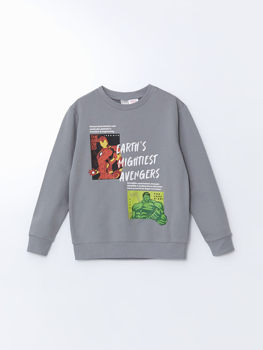 Crew Neck Hulk Printed Boy's Tracksuit Set -S52048Z4-JNC