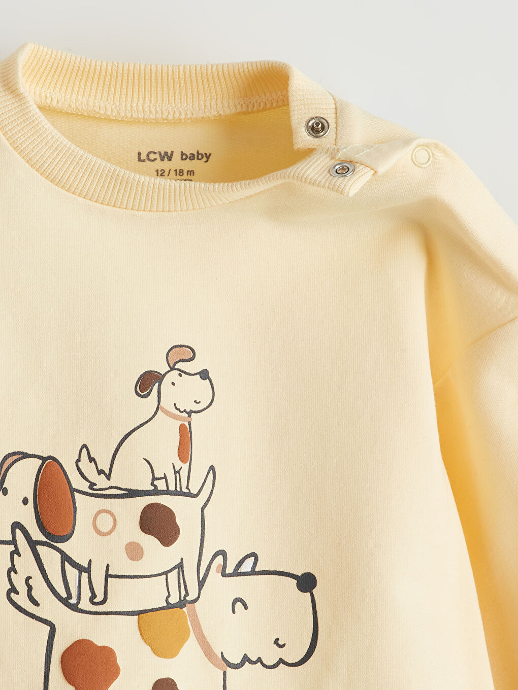 Printed Baby Boy Sweatshirt And Sweatpants Set (2 Pieces