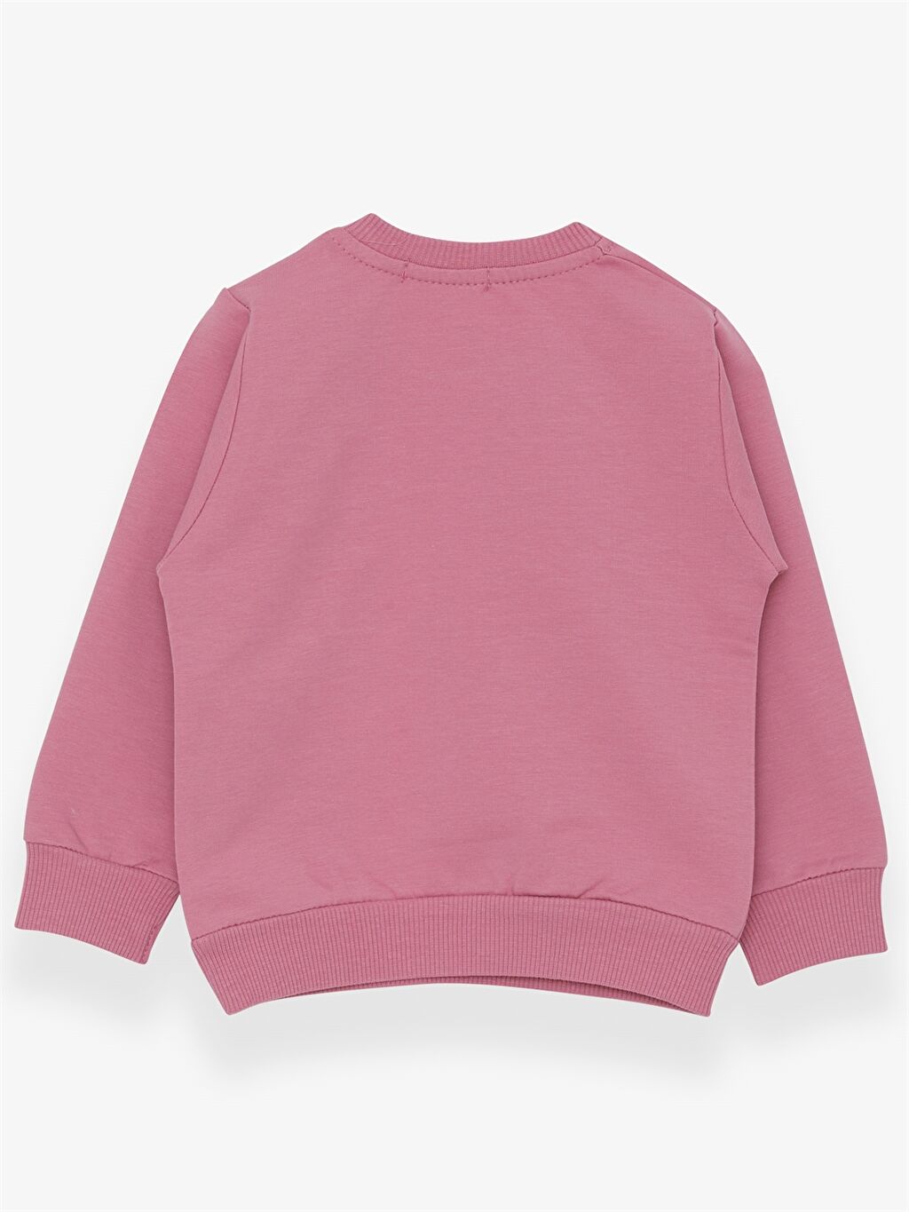 Crew Neck Long Sleeve Printed Baby Girl Sweatshirt W2IL99Z12JC