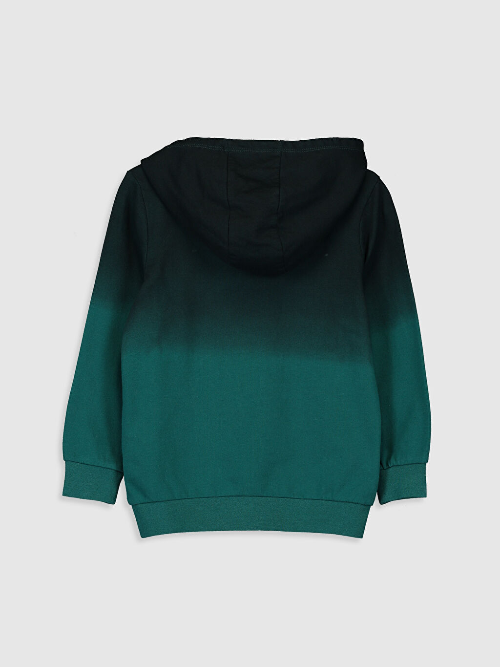 Yeşil Erkek Çocuk Baskılı Kapüşonlu Sweatshirt LC Waikiki